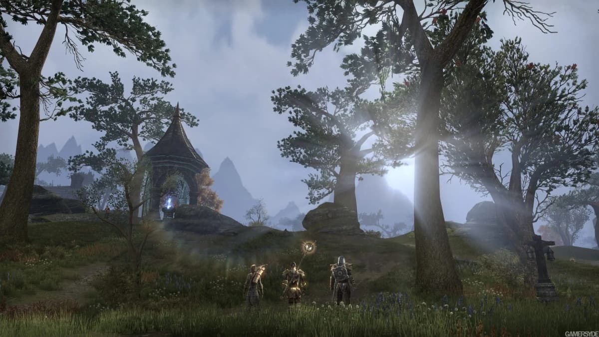 Joueurs de différentes races au sein d'une même guilde dans ESO