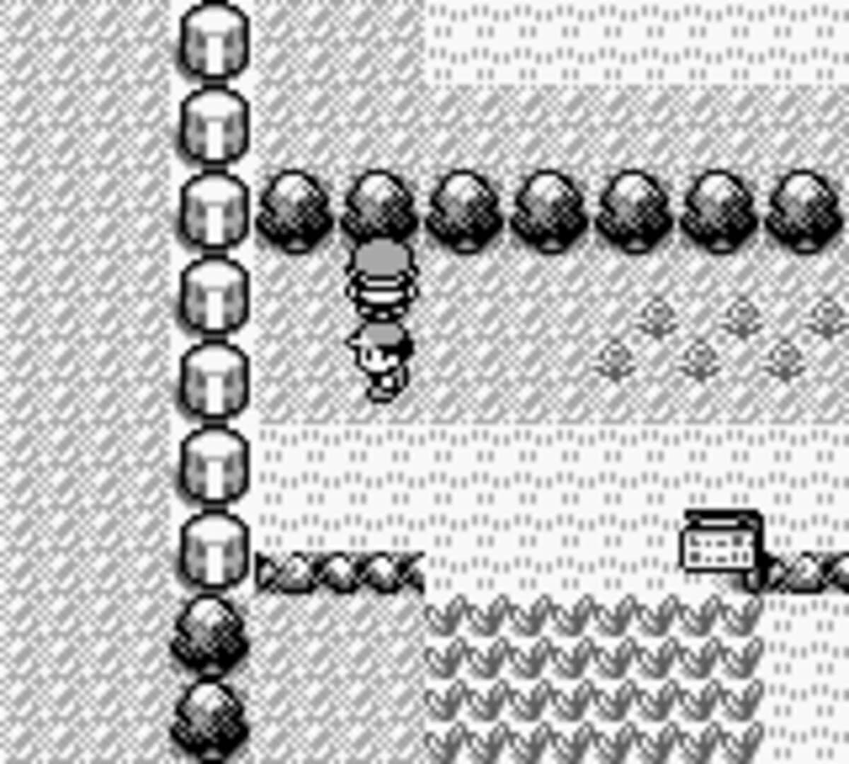 Screenshot from Pokémon Red Version