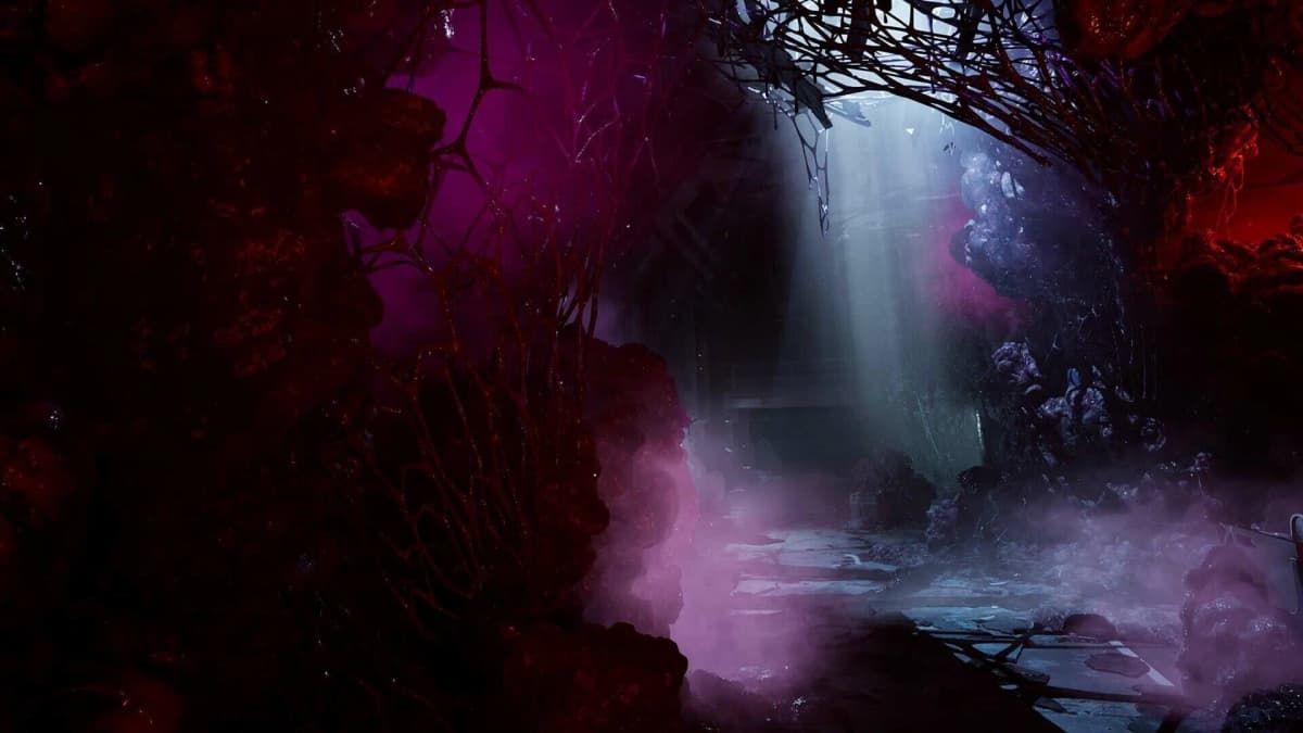 Screenshot from Directive 8020