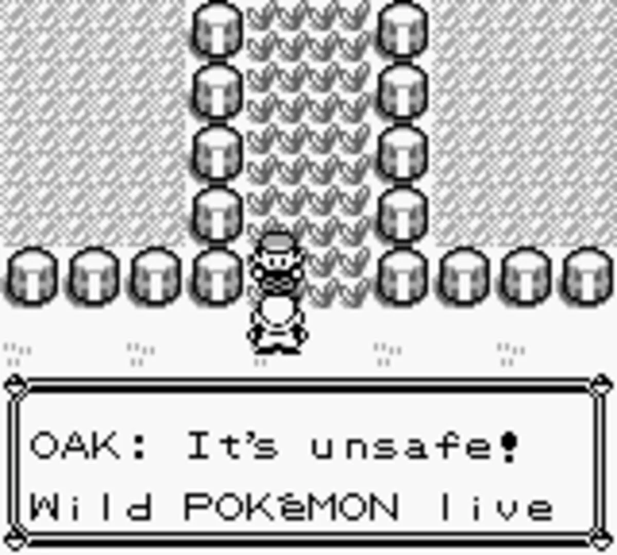 Screenshot from Pokémon Red Version
