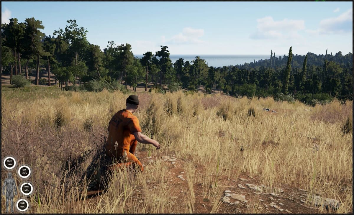Screenshot from Scum