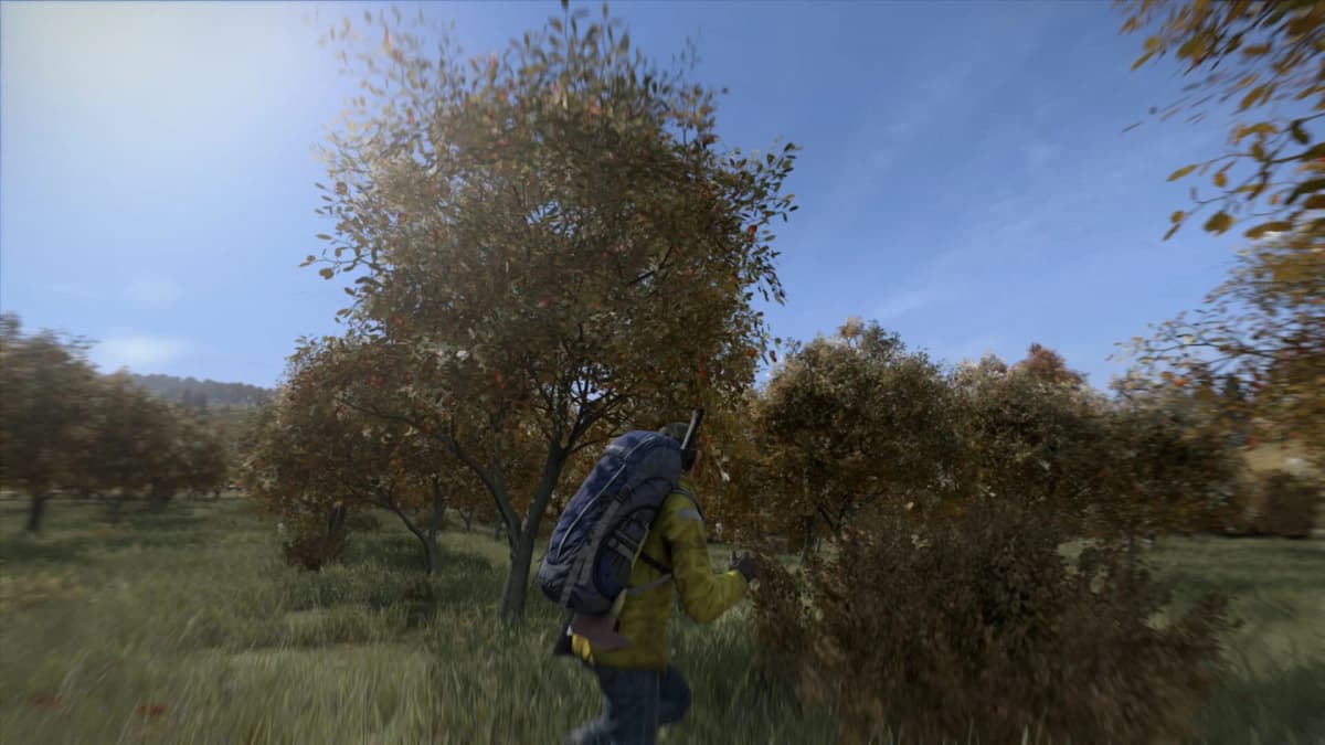 Screenshot from DayZ