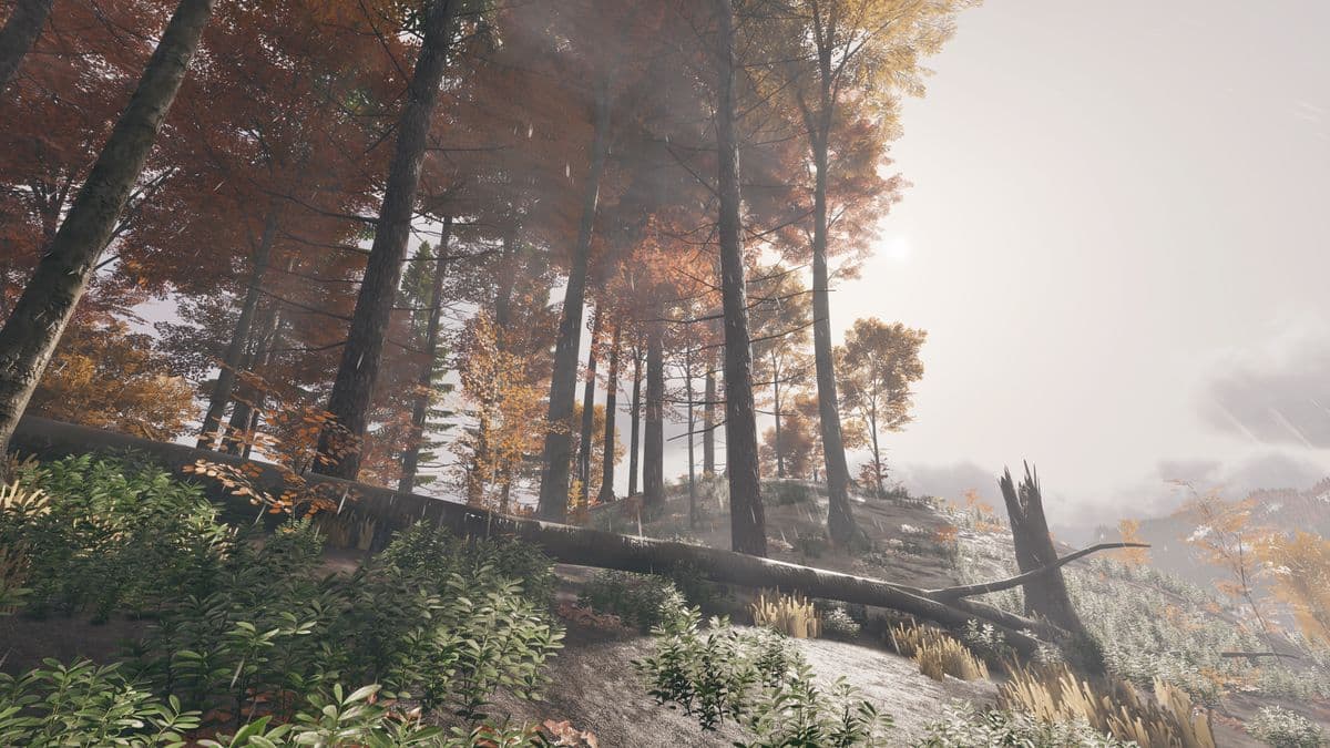 Prologue de PlayerUnknown : vers un survival plus authentique
