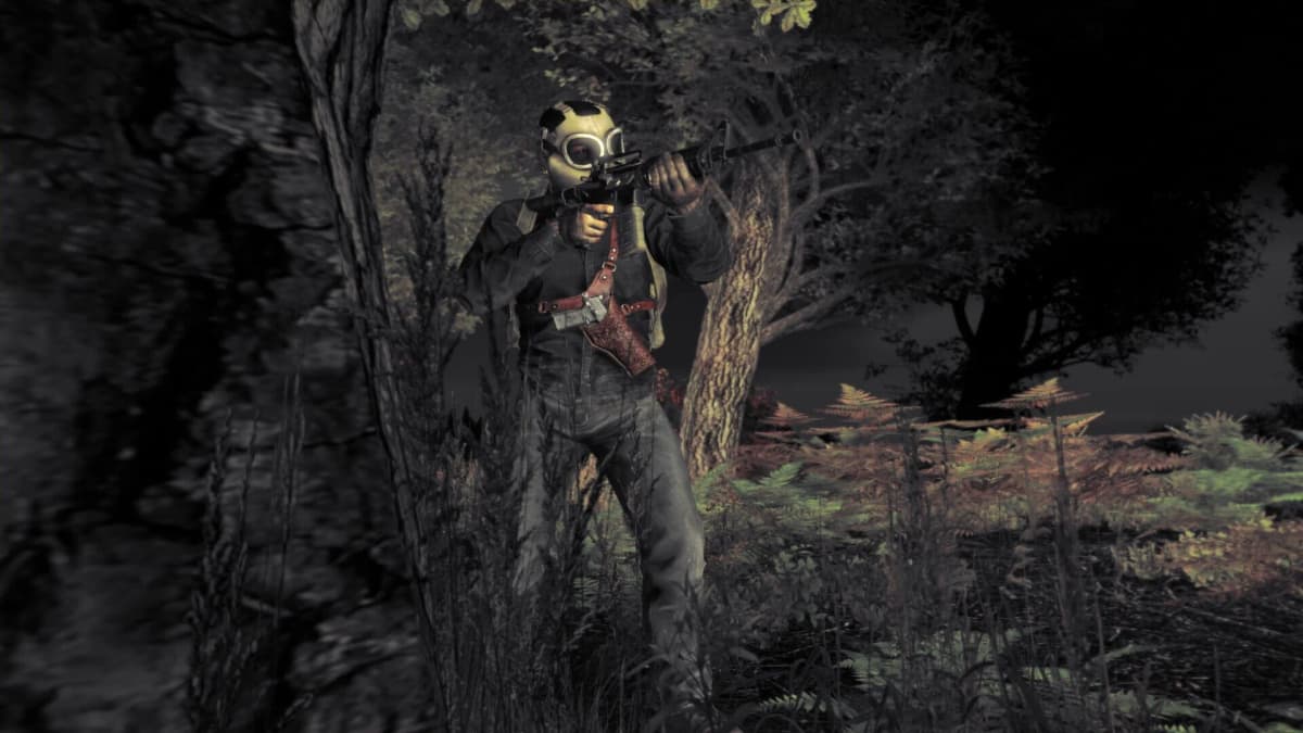 Screenshot from DayZ