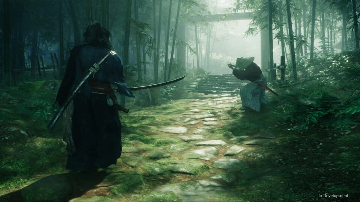 Screenshot from Rise of the Ronin