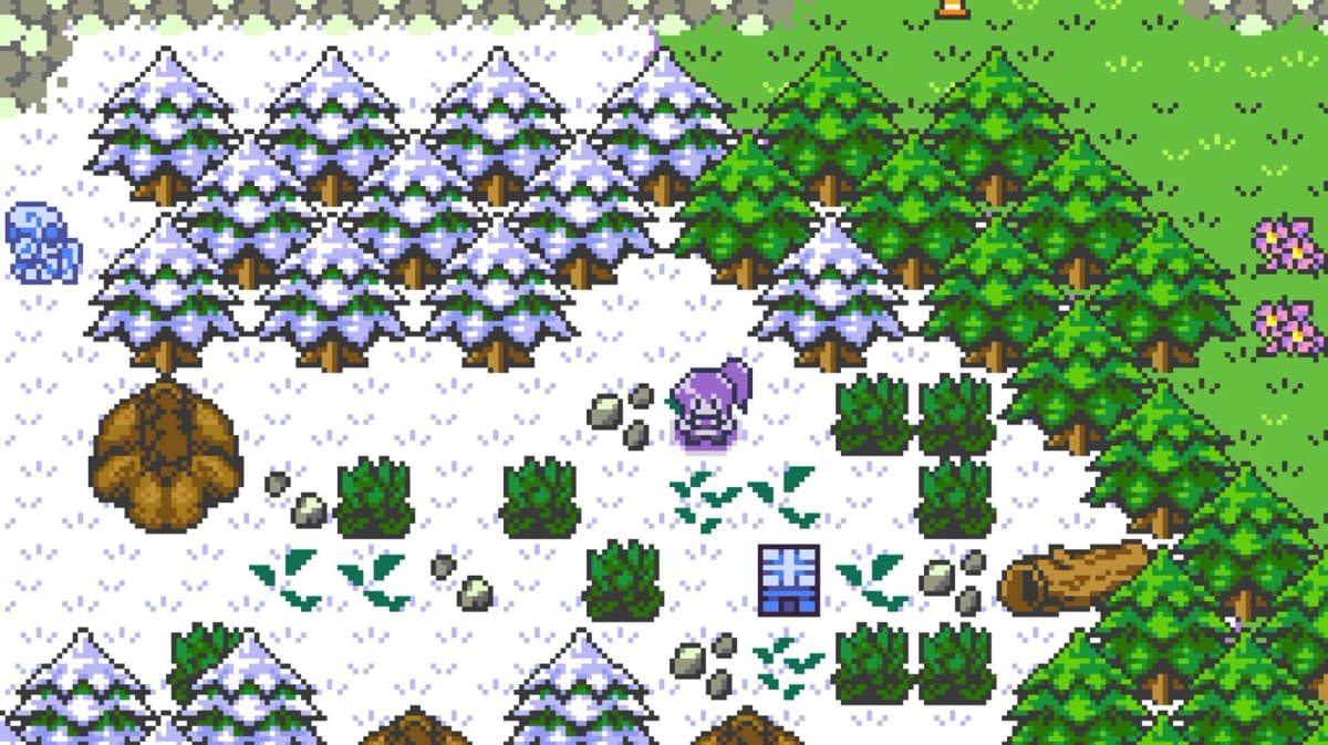 Dokimon Quest : comment le réclamer gratuitement sur Steam (48 h)
